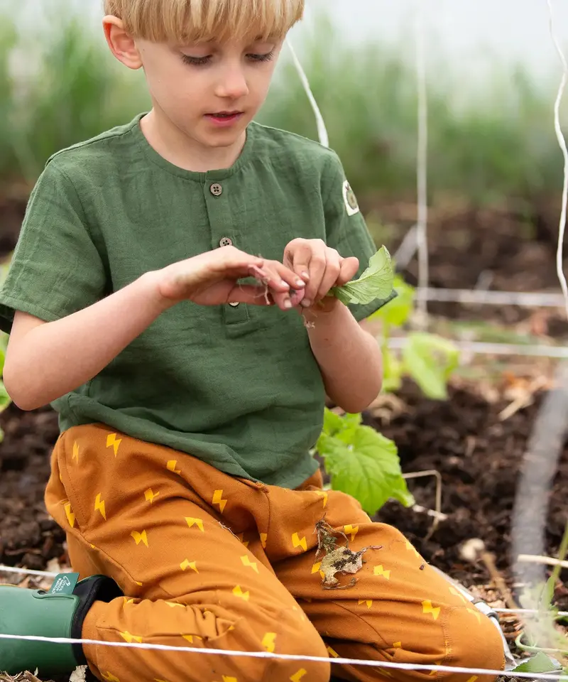 Little Green Radicals Organic Cosy Joggers - Gold Lightning 4