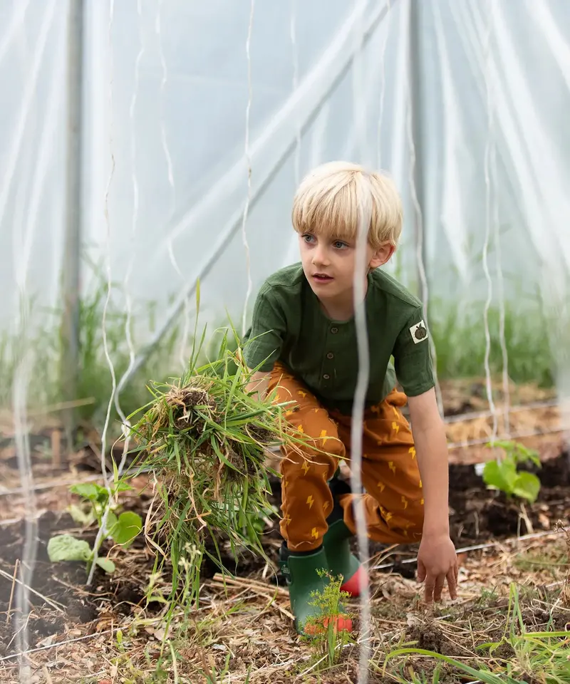 Little Green Radicals Organic Cosy Joggers - Gold Lightning 5