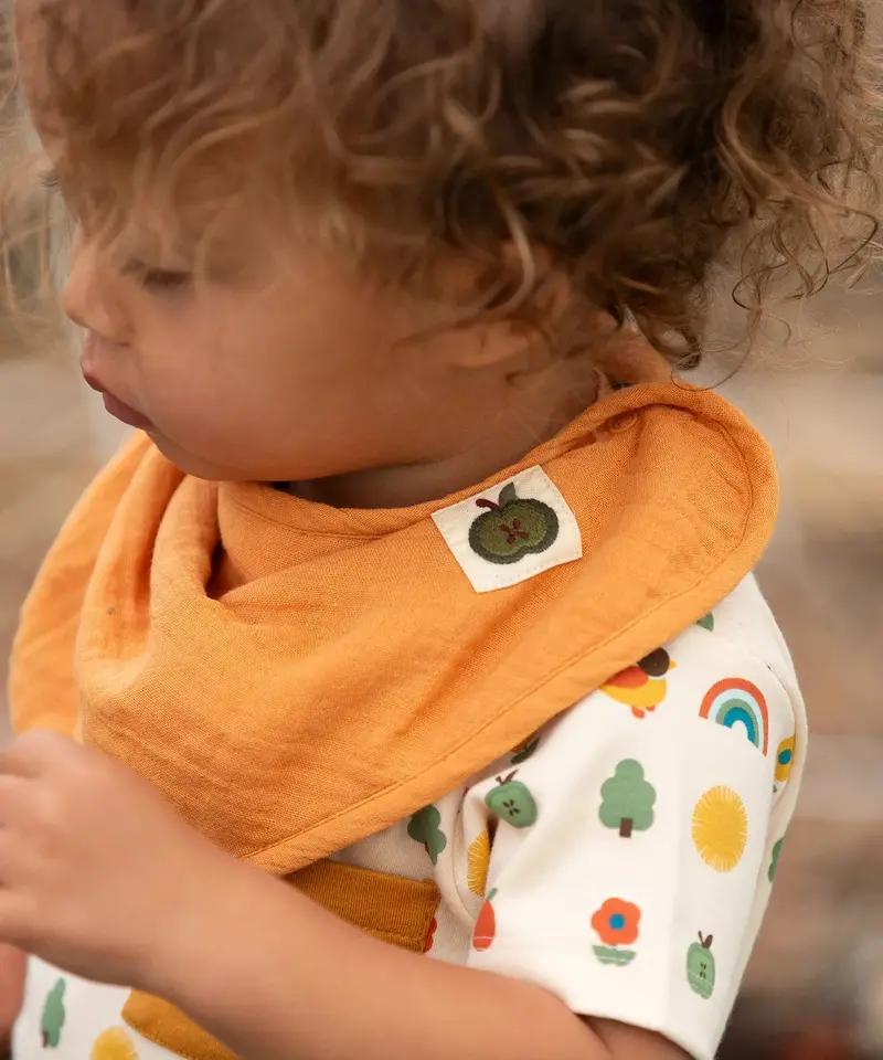 Little Green Radicals Organic Muslin Bib Set - Corals 2