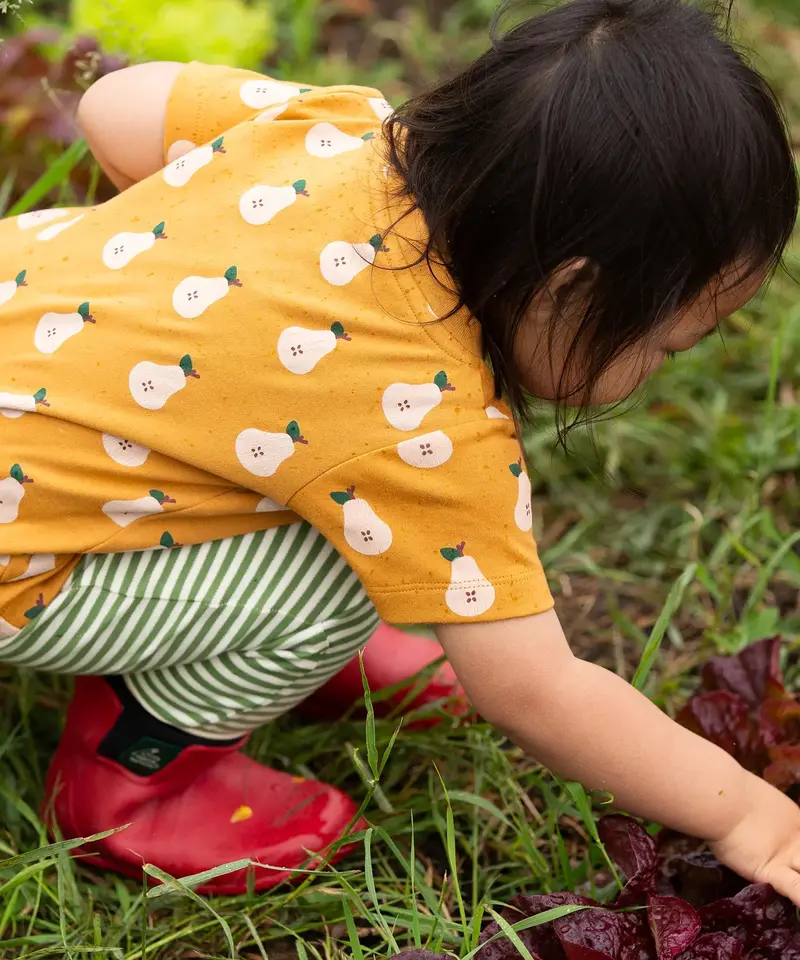 Little Green Radicals Organic T-Shirt & Jogger Playset - Summer Pears 2