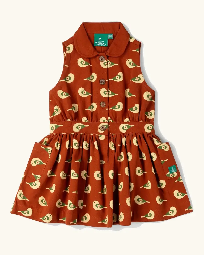 Little Green Radicals Pinafore Button Dress - Spring Birds 1