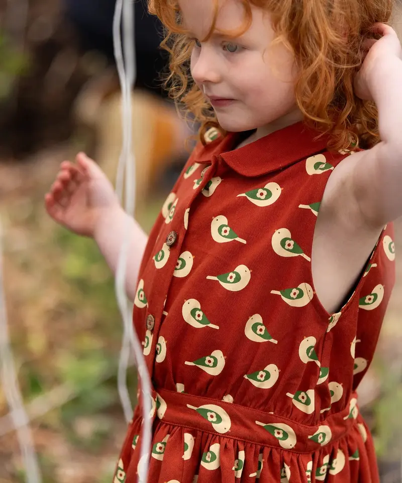 Little Green Radicals Pinafore Button Dress - Spring Birds 2