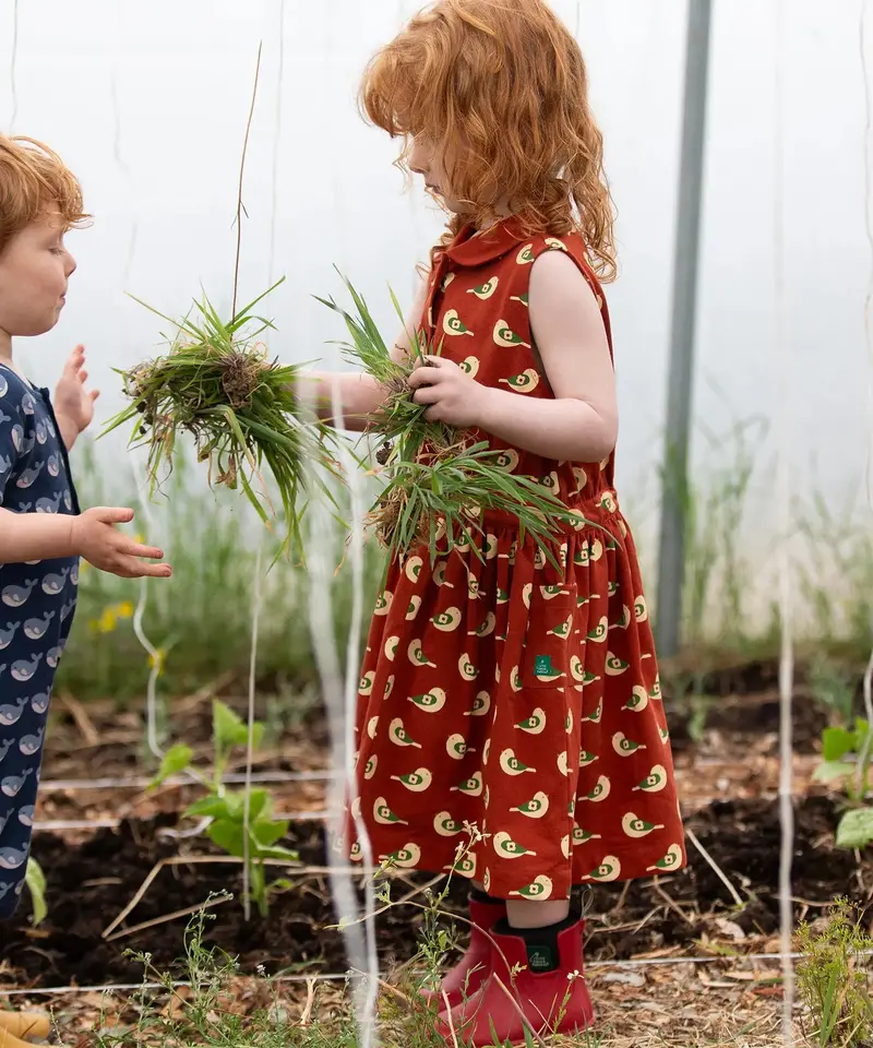 Little Green Radicals Pinafore Button Dress - Spring Birds 3