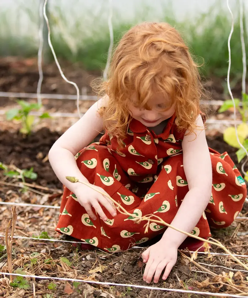 Little Green Radicals Pinafore Button Dress - Spring Birds 4