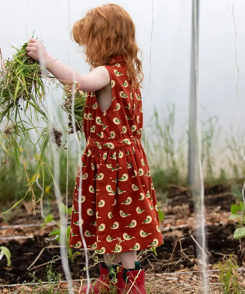 Little Green Radicals Pinafore Button Dress - Spring Birds 5