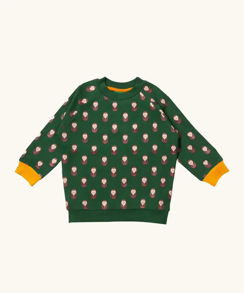 Little Green Radicals Raglan Sweatshirt - Brown Owl 1