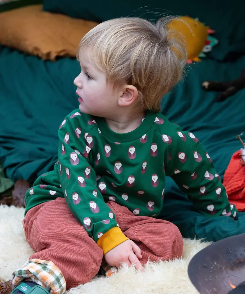 Little Green Radicals Raglan Sweatshirt - Brown Owl 2