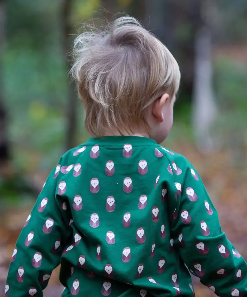 Little Green Radicals Raglan Sweatshirt - Brown Owl 3
