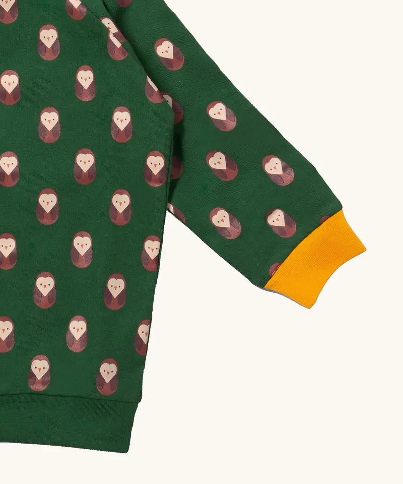 Little Green Radicals Raglan Sweatshirt - Brown Owl 4