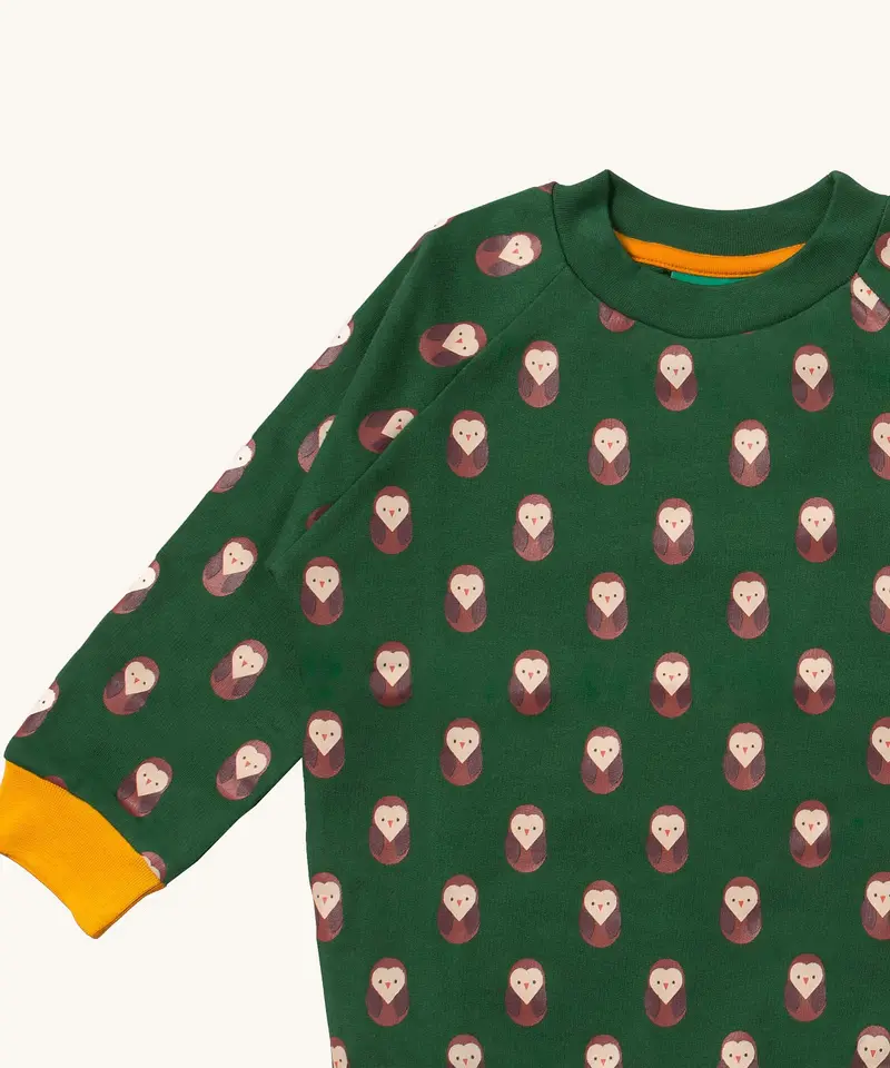 Little Green Radicals Raglan Sweatshirt - Brown Owl 5