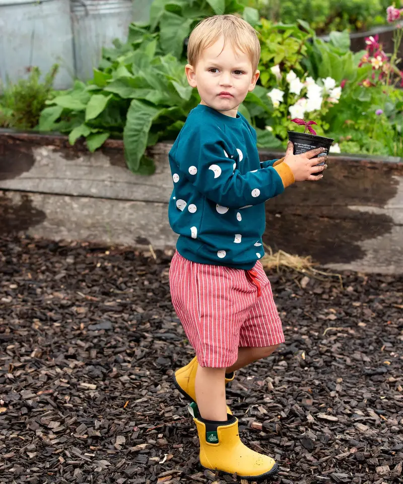 Little Green Radicals Raglan Sweatshirt - Midnight Moon 4