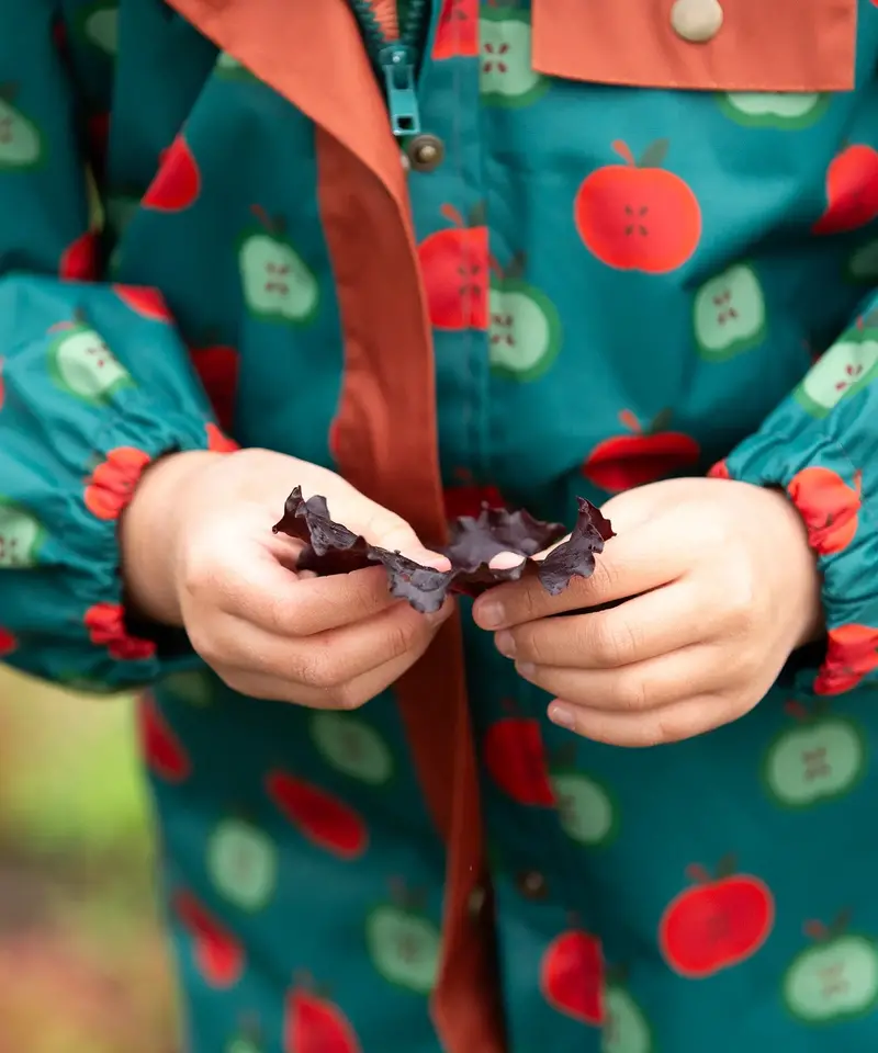 Little Green Radicals Recycled Waterproof Raincoat - Apple Picking 2