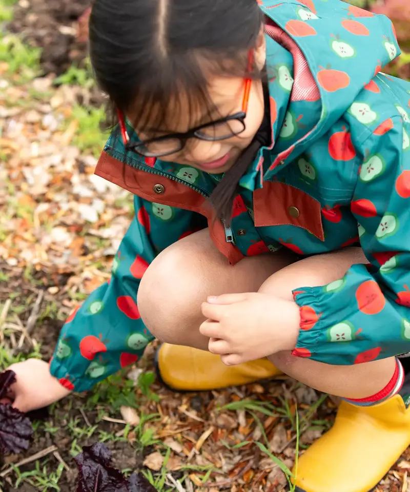 Little Green Radicals Recycled Waterproof Raincoat - Apple Picking 6