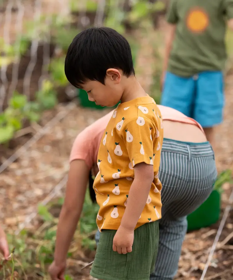 Little Green Radicals Short Sleeve T-Shirt - Summer Pears 2