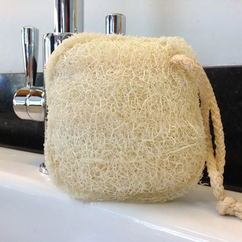 Loofco Loofah Cleaning Pad 2