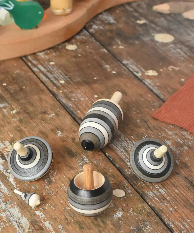 Mader Graphite Spinning Top Learning Set 1
