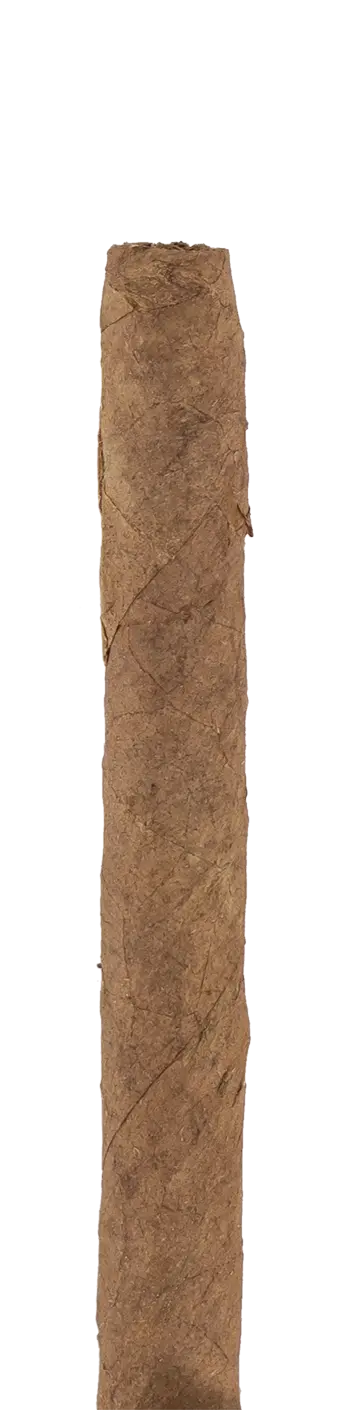 Montecristo Club Cuban Cigar - Single 1