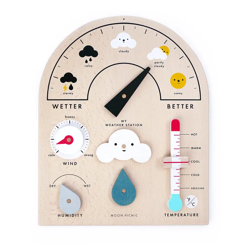 Moon Picnic My Weather Station 1