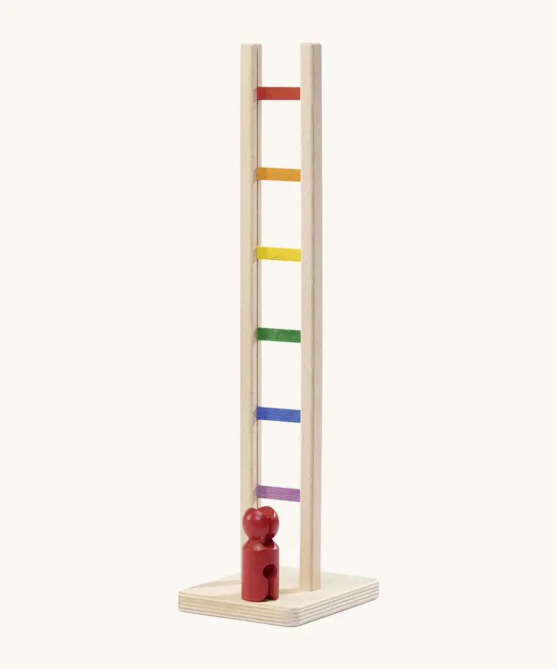 Nic Colourful Climbing Ladder 1