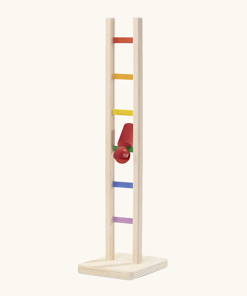 Nic Colourful Climbing Ladder 2