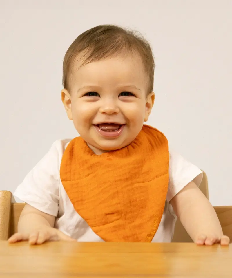 Oli & Carol Bib - Cathy The Carrot 2