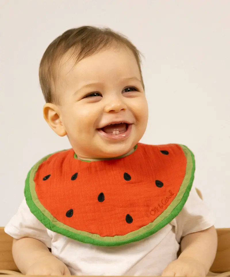 Oli & Carol Bib - Wally The Watermelon 2