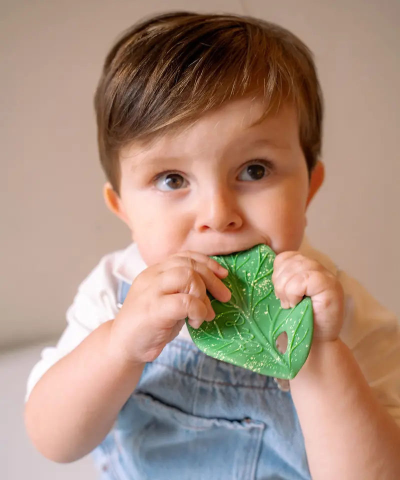 Oli & Carol Chlorophyll Leaf Baby Teether 2