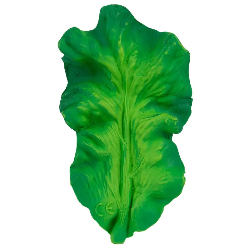 Oli & Carol Fruit And Veggies - Kendall The Kale 1
