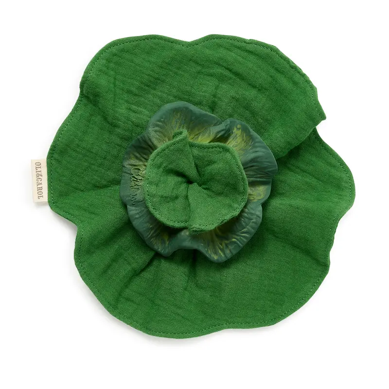 Oli & Carol Kendall The Kale Mini Doudou Baby Teether 1