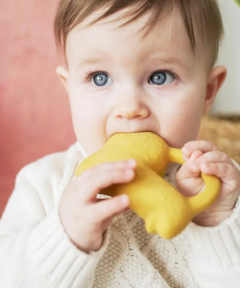 Oli & Carol Richie Lion Baby Teether 2