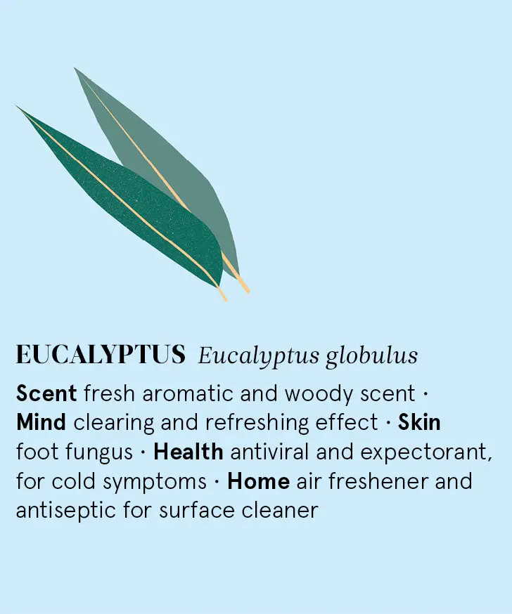 Organic Eucalyptus Essential Oil 12Ml 2