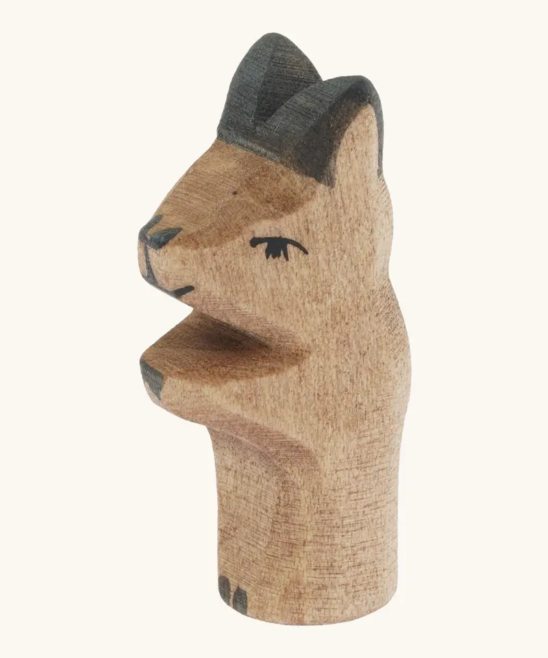 Ostheimer Baby Kangaroo 1
