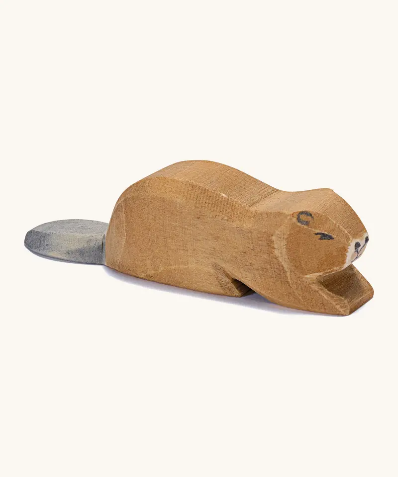 Ostheimer Beaver Lying 1
