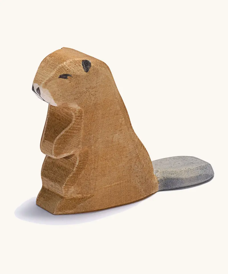 Ostheimer Beaver Sitting 1