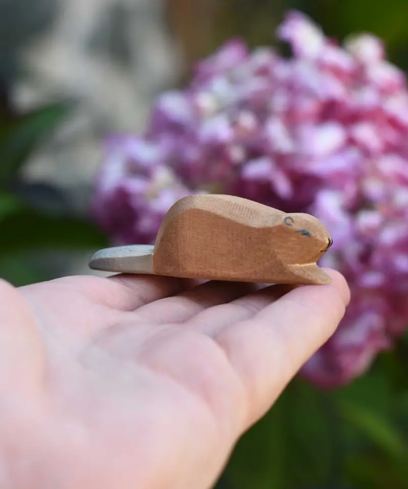 Ostheimer Beaver Small 2