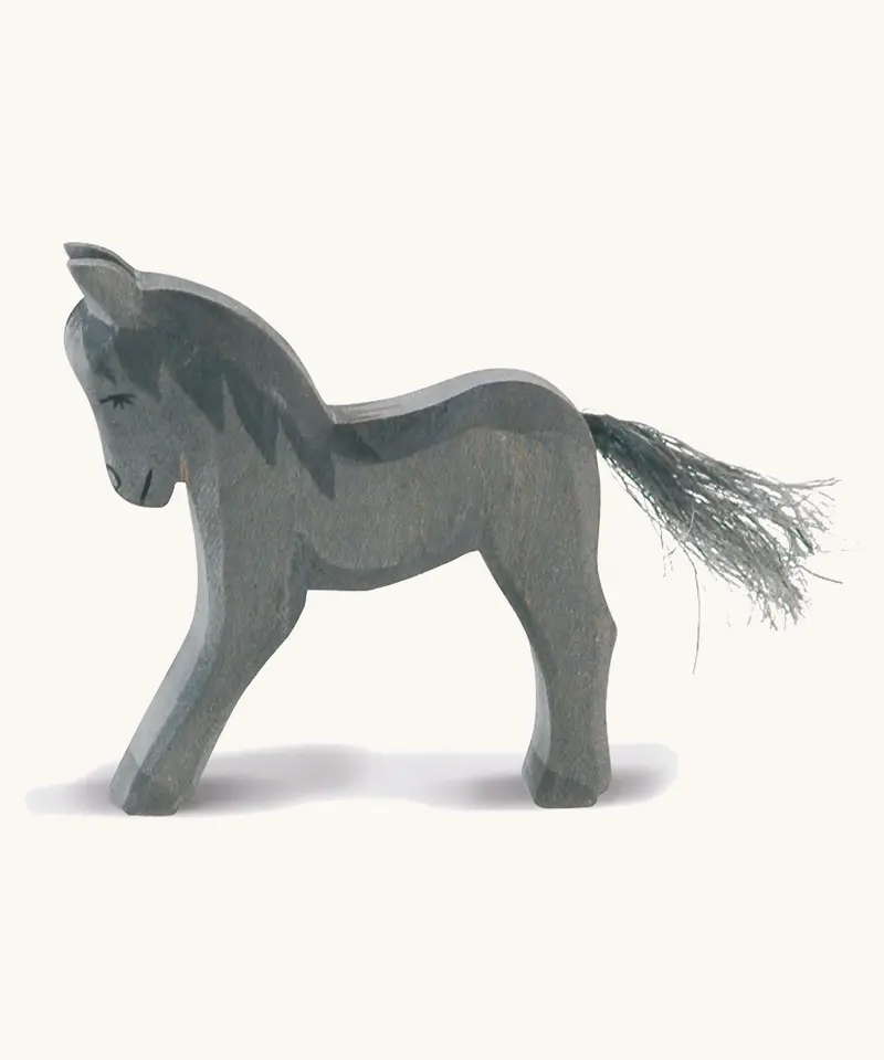 Ostheimer Black Colt 1