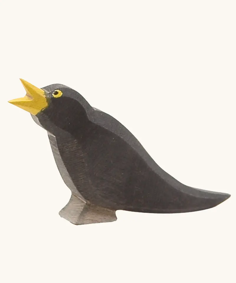Ostheimer Blackbird 1