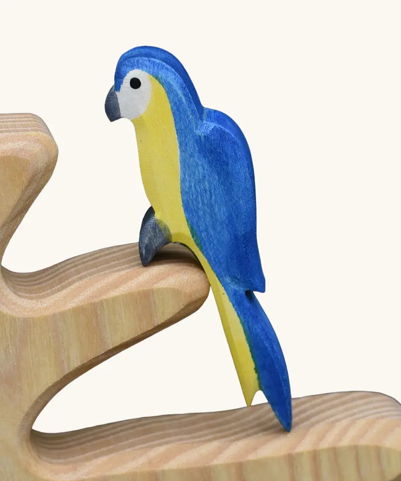 Ostheimer Blue Parrot 1