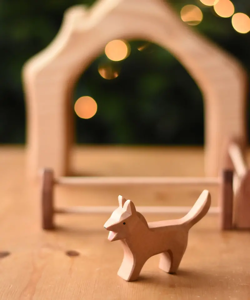 Ostheimer Bremer Dog 2