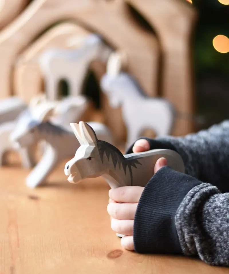 Ostheimer Bremer Donkey 2