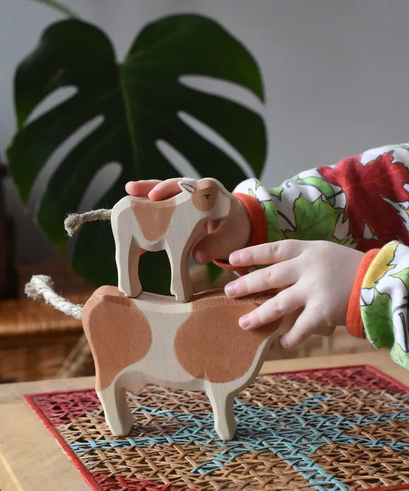 Ostheimer Brown Calf Standing 2