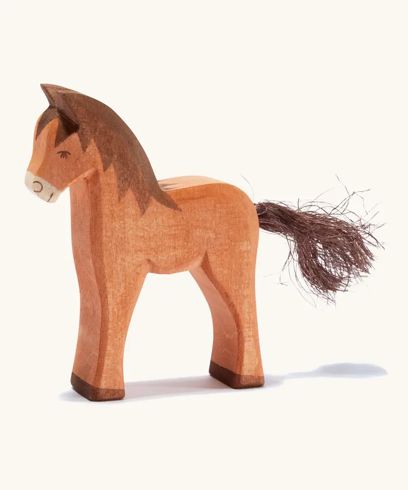 Ostheimer Brown Colt 1