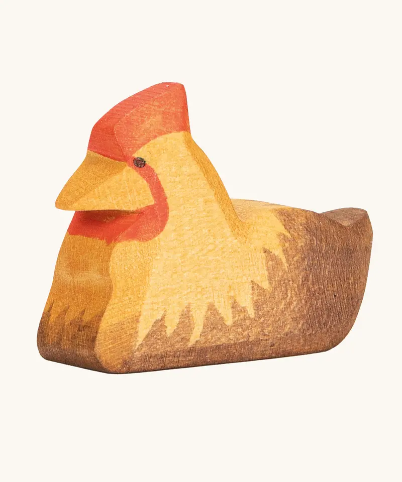 Ostheimer Brown Hen On Nest 1