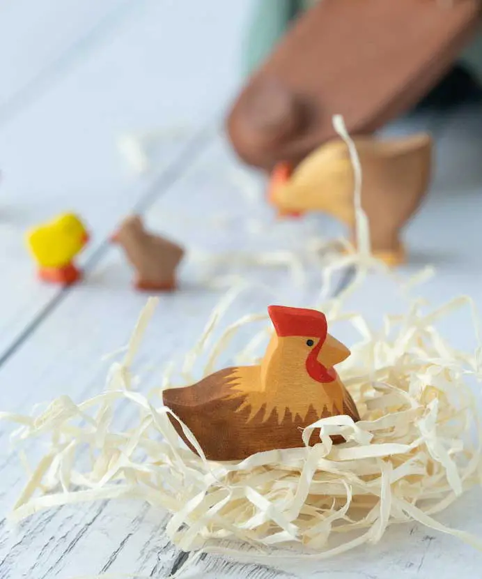 Ostheimer Brown Hen On Nest 2