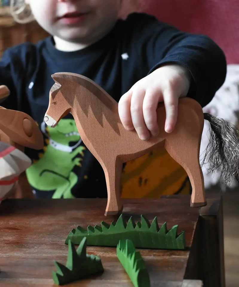 Ostheimer Brown Horse 2