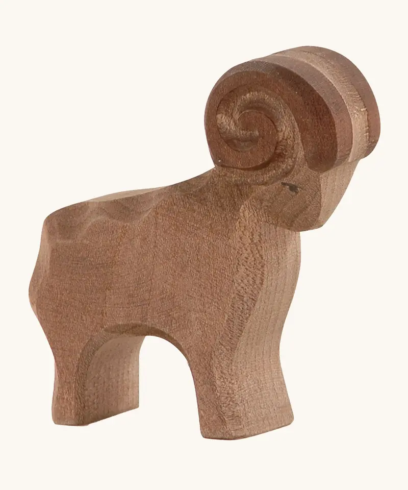 Ostheimer Brown Ram 1