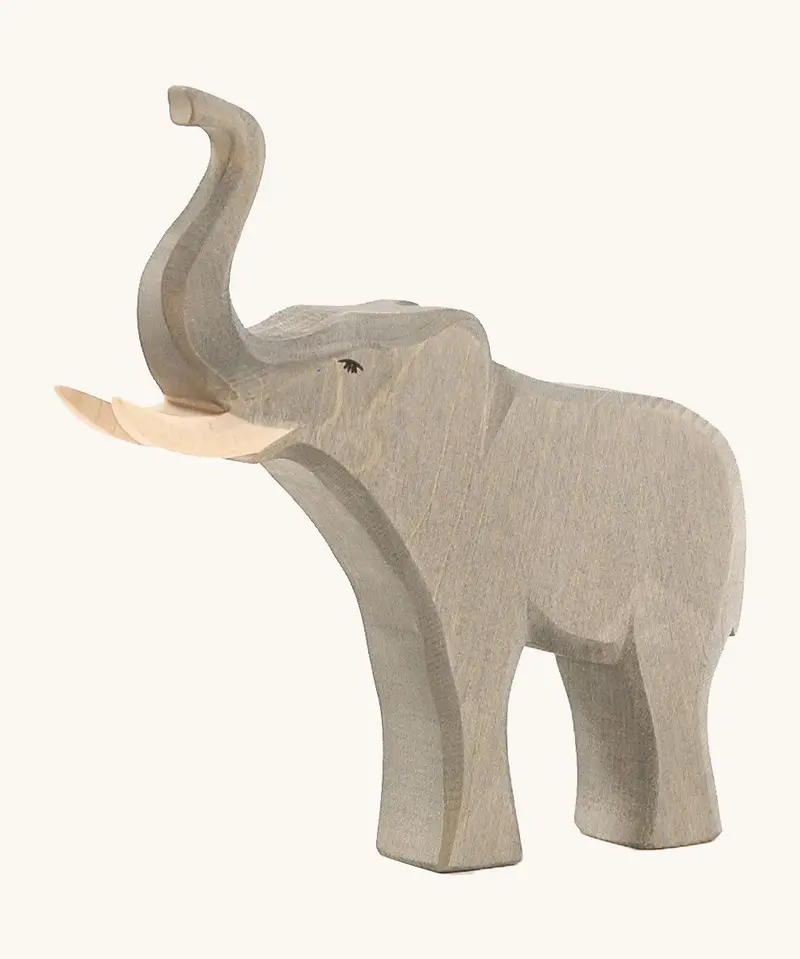 Ostheimer Bull Elephant Trumpeting 1