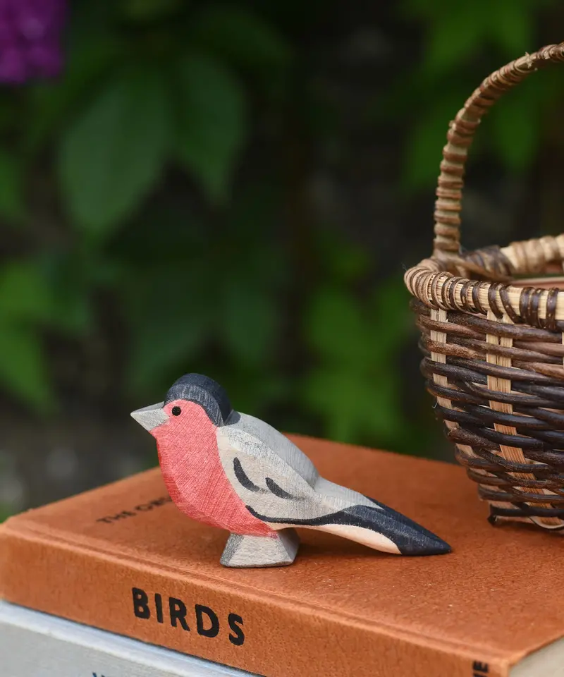 Ostheimer Bullfinch 2