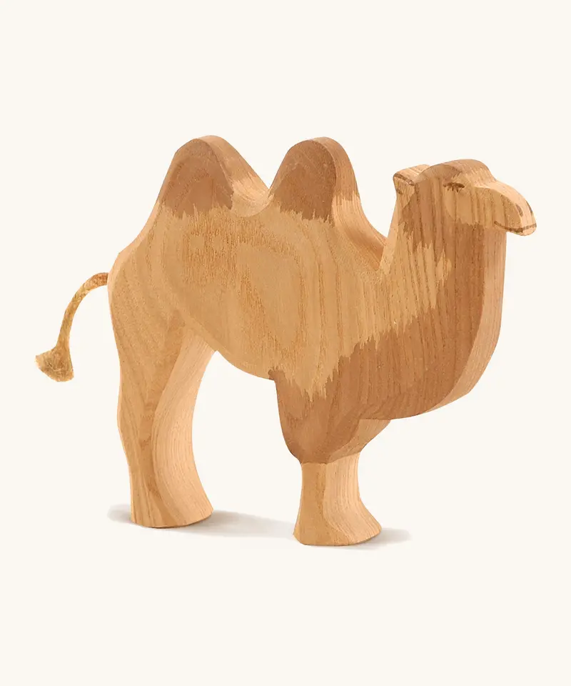 Ostheimer Camel 1