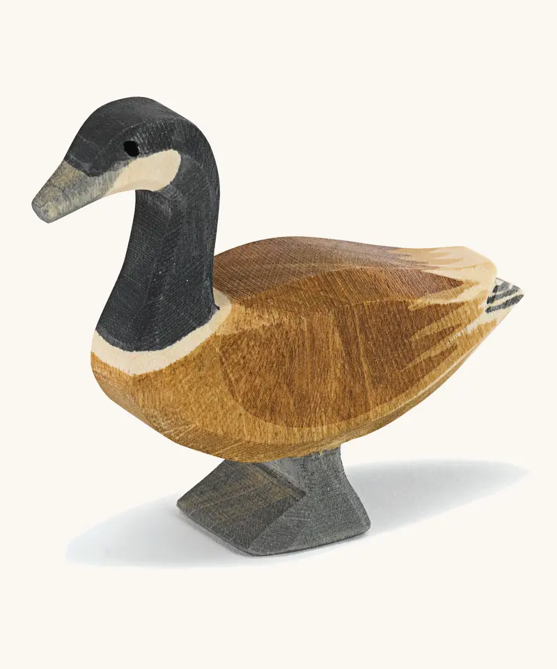 Ostheimer Canada Goose Standing 1